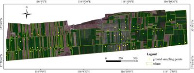 Combining spectral and texture feature of UAV image with plant height to improve LAI estimation of winter wheat at jointing stage